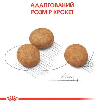 Royal Canin Dry Food for Puppies of Large Breeds 3.2+800g - buy, prices for MasterZoo - photo 7