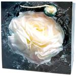 Art Studio of Happines GB-24172 Gift Bag 35х37х12cm