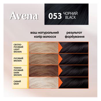 Крем-краска для волос устойчивая AVENA Rich Color 053 Черный - купить, цены на - фото 7