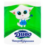 Dyvo 2-Ply Paper Towels 2pcs