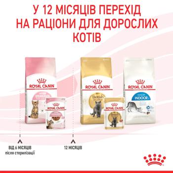 Корм вологий Royal Canin Sterilised з домашньою птицею для стерилізованих кошенят 85г - купити, ціни на MasterZoo - фото 5