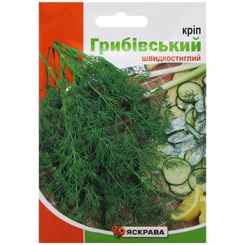 Yaskrava Dill Gribovsky Seeds 20g