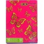 Paper Zibi