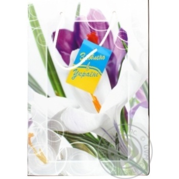 Package 1pc - buy, prices for MegaMarket - photo 1