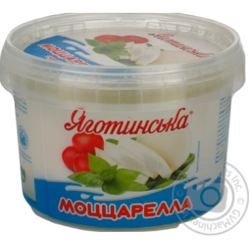 Сыр мягкий Яготинская Моццарелла в рассоле 50% 510г купить, цены на МегаМаркет - фото 1
