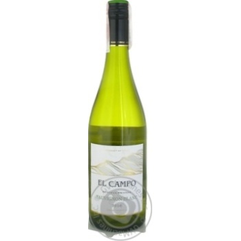 Вино El Campo Sauvignon Blanc 0,75л x3 купити, ціни на МегаМаркет - фото 1