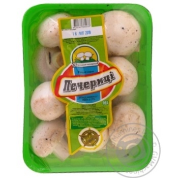 Печериці  в/г кошик 1шт 400 гр купити, ціни на МегаМаркет - фото 2
