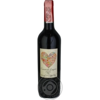 Wine red dry 13% 750ml glass bottle Spain - buy, prices for MegaMarket - photo 1