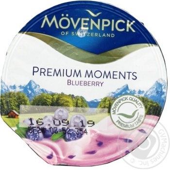 Yogurt with blueberries 4% 100g - buy, prices for MegaMarket - photo 1