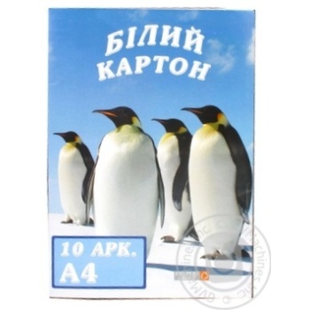 Cardboard white 10pcs - buy, prices for MegaMarket - photo 1