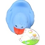 Toy