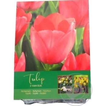 Crocus Mix - buy, prices for METRO - photo 2