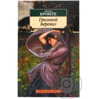Thunder Pass Book - buy, prices for - photo 1