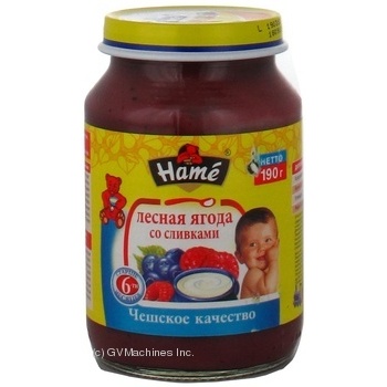 Puree Hame Wild berry with cream for 6+ month old babies glass jar 190g Czech Republic - buy, prices for NOVUS - photo 3