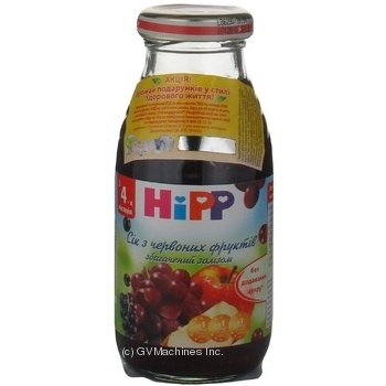 Sugar-free juice enriched with iron HiPP red fruits for 4+ months babies glass bottle 200ml Hungary