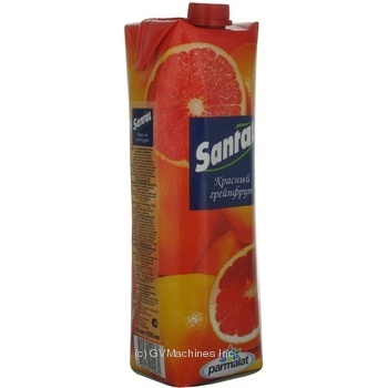 Clarified juice-containing drink Santal Red grapefruit 1l - buy, prices for NOVUS - photo 3