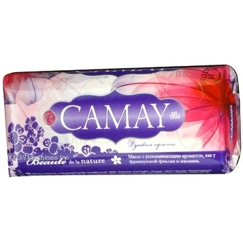 soap camay for body 100g United Kingdom