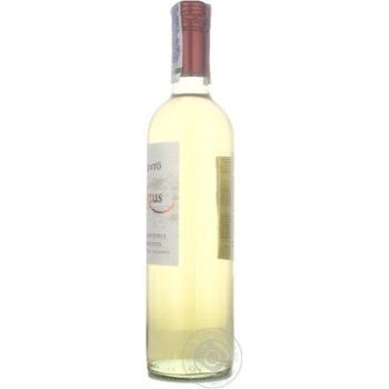 Trivento Chardonnay-Torrontes White Dry Wine 0.75l - buy, prices for - photo 11