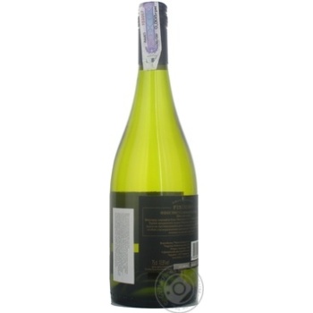 Wine sauvignon Canepa white dry 13.5% 2009year 750ml glass bottle Chili - buy, prices for MegaMarket - photo 4