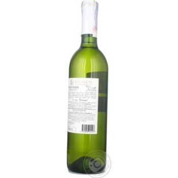 Wine rkaciteli Badagoni Vazisubani white dry 12% 2007year 750ml glass bottle Georgia - buy, prices for MegaMarket - photo 2