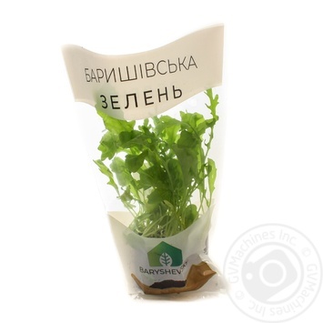 Greens lettuce fresh 80g - buy, prices for NOVUS - photo 1