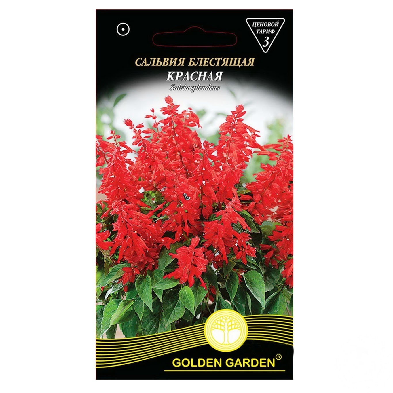 

Семена Golden Garden Сальвия блестящая красная 0,2г