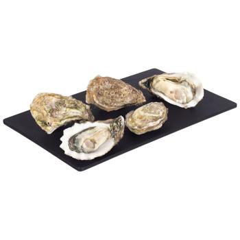 ostreidae fin de claire №4 - buy, prices for Tavria V - photo 1