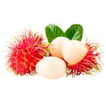 Rambutan