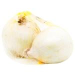 White Onion