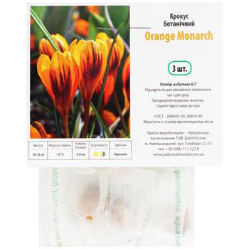 Orange Monarch Botanical Crocus 3pcs - buy, prices for Auchan - photo 1