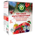 Сік-смузі Garden Gadz Мультифруктовий 3л