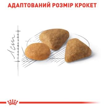 Корм сухий Royal Canin Savour Exigent з домашньою птицею для вибагливих котів 10кг - купити, ціни на MasterZoo - фото 4