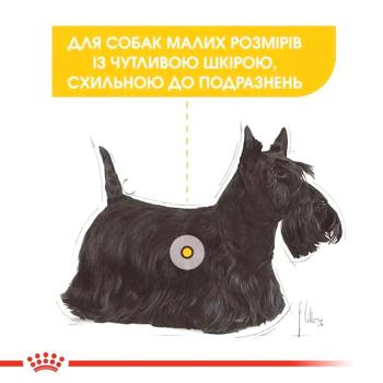 Royal Canin Mini Dermacomfort cухий корм для собак 3 кг - купить, цены на MasterZoo - фото 4