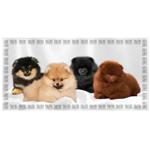 Tauro Pro Line Pomeranian Spitz Towel for Dogs 80x160cm