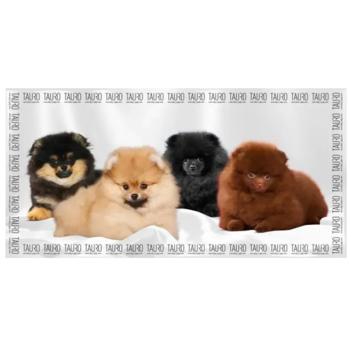 Towel - buy, prices for MasterZoo - photo 1