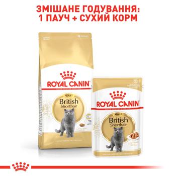 Сухий корм для котів Royal Canin British Shorthair 4 кг - домашня птиця + Catsan 5 л - купить, цены на - фото 7