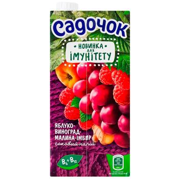 Напій соковий Садочок для Імунітету яблуко-виноград-малина-імбир 0,95л - купити, ціни на Auchan - фото 2