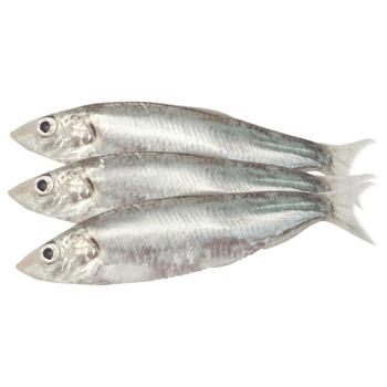 Sea Sprat - buy, prices for - photo 1