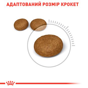 Корм сухой Royal Canin Hair And Skin Care для ухода за кожей и шерстью у котов 1-7лет 400г - купить, цены на MasterZoo - фото 5