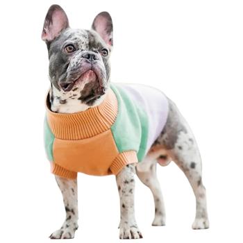 Светр для собак Pet Fashion Rich XS такса - купить, цены на MasterZoo - фото 1