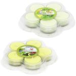 Bartek Candles Green Tea Set of Tea Candles 5pcs