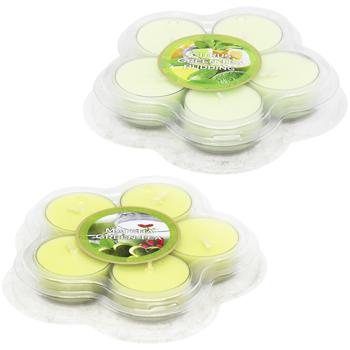 Набір чайних свічок Bartek Candles зелений чай 5шт - купити, ціни на Auchan - фото 1