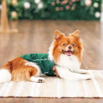 Pet Fashion Kale борцівка для собак M - купить, цены на MasterZoo - фото 3
