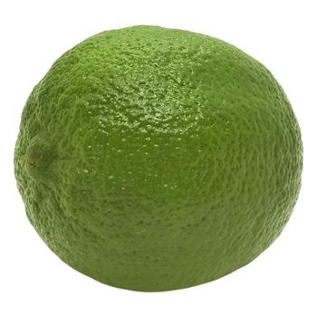 Lime - buy, prices for Tavria V - photo 1