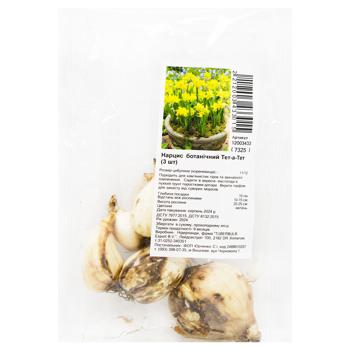 Tet-a-Tet Daffodil Bulb 3pcs - buy, prices for Za Raz - photo 1