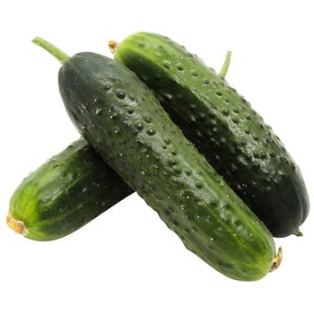 Gherkin Cucumber - buy, prices for METRO - photo 1