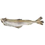 Vodny Svit Headless Fresh Frozen Pollock Carcass