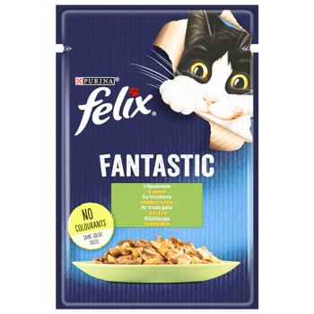 Корм вологий Felix Fantastic з кроликом для дорослих котів 85г - купити, ціни на MasterZoo - фото 1