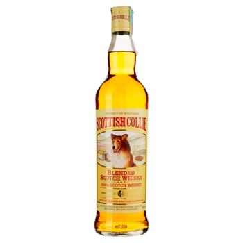 Scottish Collie 3 yrs whisky 40% 0.7l - buy, prices for EKO Market - photo 1