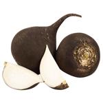 Black Radish